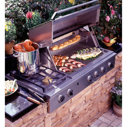 Built in Grill w/ Dual side Burners